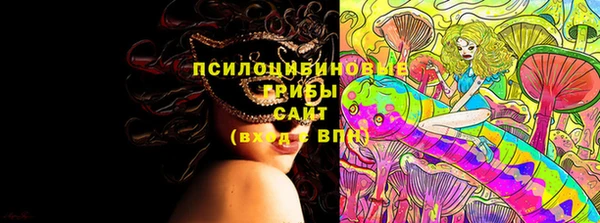 прущая мука Ельня